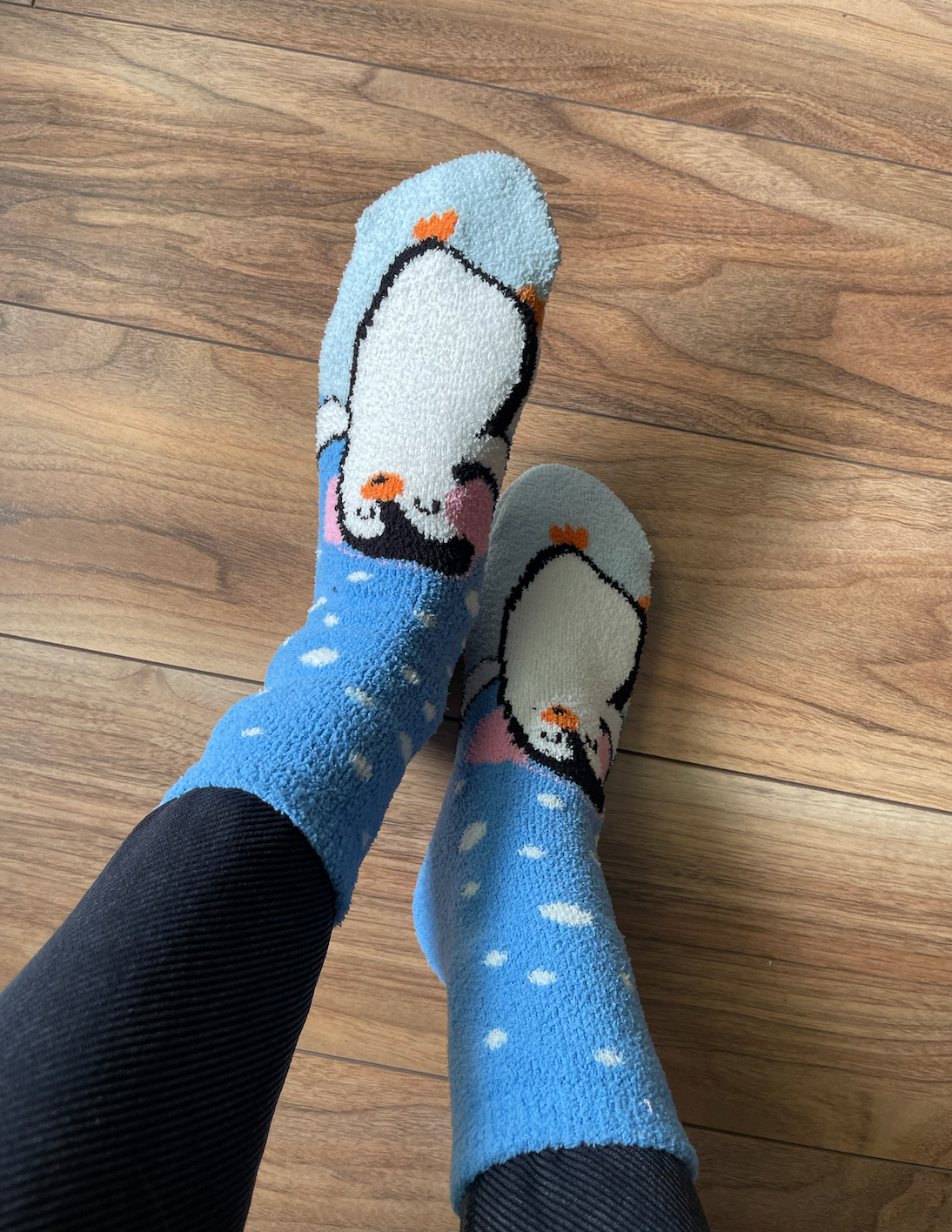 Socks - Pingüino